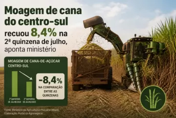 Moagem de cana cai 8,4% no Centro-Sul, açúcar recua 17,6% e produção de etanol avança