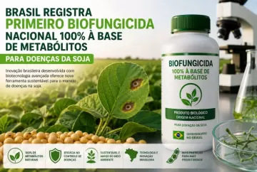 Brasil registra primeiro biofungicida nacional 100% à base de metabólitos para doenças da soja