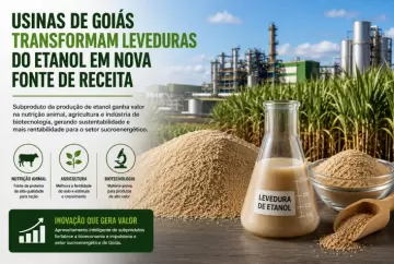 Usinas de Goiás transformam leveduras do etanol em nova fonte de receita