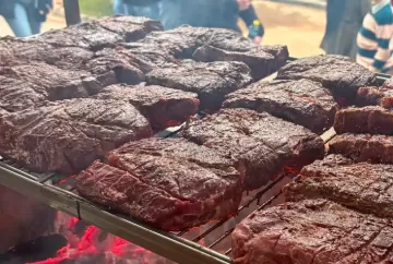 Angus on Dairy avança no Brasil e pode ampliar oferta de Carne Angus Certificada