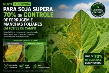 Novo fungicida para soja supera 70% de controle de ferrugem e manchas foliares em testes de campo