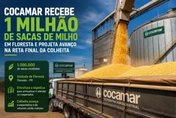 Cocamar recebe 1 milhão de sacas de milho em Floresta e projeta avanço na reta final da colheita