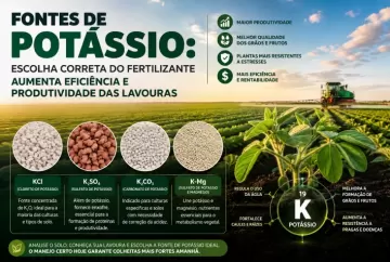 Fontes de potássio: escolha correta do fertilizante aumenta eficiência e produtividade das lavouras
