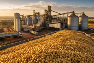 Esmagamento de soja em Mato Grosso bate recorde e alcança 1,24 milhão de toneladas em julho