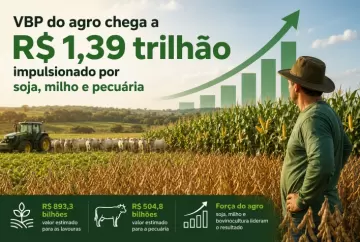 VBP do agro chega a R$ 1,39 trilhão, impulsionado por soja, milho e pecuária