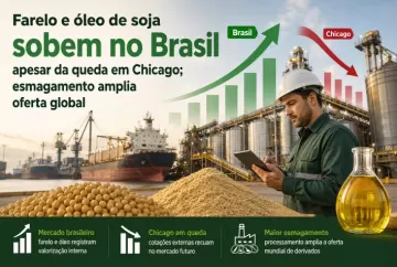 Farelo e óleo de soja sobem no Brasil apesar da queda em Chicago; esmagamento amplia oferta global