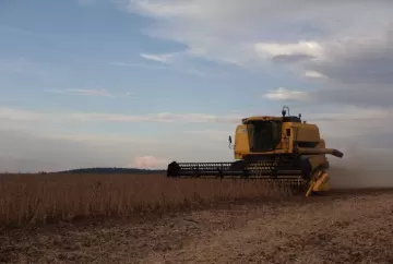 El Niño na safra 2026/27: Embrapa orienta como proteger soja e milho de seca, erosão e doenças