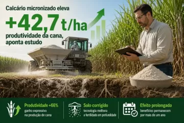 Calcário micronizado eleva produtividade da cana em 42,7 toneladas por hectare, aponta estudo