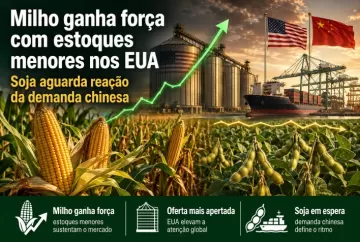 Milho ganha força com estoques menores nos EUA, enquanto soja aguarda reação da demanda chinesa