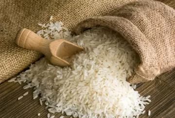 Preço do arroz se mantém firme no Rio Grande do Sul com oferta restrita e dificuldade de carregamento