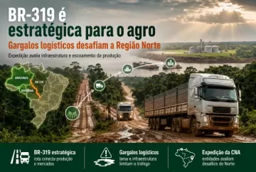 BR-319 é estratégica para o agro e expõe gargalos logísticos no Norte, aponta expedição da CNA