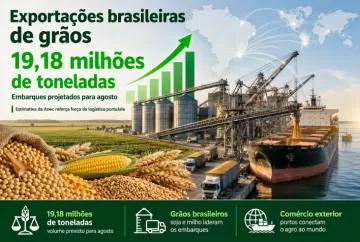 Exportações brasileiras de grãos devem atingir 19,18 milhões de toneladas em agosto, projeta Anec