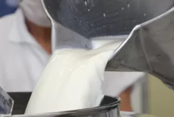 Preço do leite ao produtor sobe pelo sexto mês seguido e acumula alta de 33,1% em 2026
