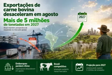 Exportações de carne bovina desaceleram em agosto, mas Brasil pode superar 5 milhões de toneladas em 2027