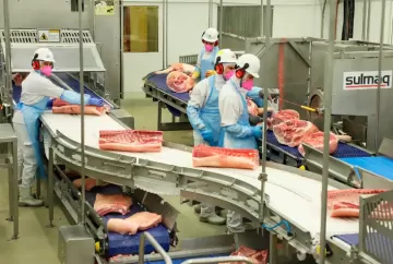 Preço da carne suína cai com excesso de oferta, apesar do avanço das exportações brasileiras