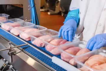 Excesso de oferta pressiona mercado de frango e preços despencam no Nordeste