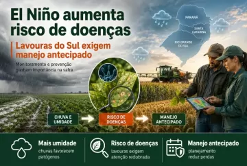 El Niño aumenta risco de doenças e exige manejo antecipado nas lavouras do Sul