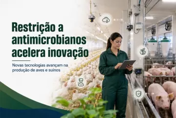 Restrição a antimicrobianos acelera novas tecnologias na produção de aves e suínos