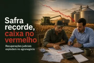 Safra recorde e caixa no vermelho: por que as recuperações judiciais explodiram no agronegócio