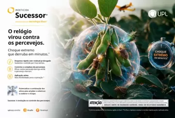 Novo inseticida promete ação em até uma hora contra percevejos e bicudo-do-algodoeiro