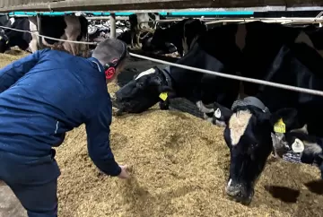 Levedura de cana ganha espaço na nutrição animal com pesquisa, tecnologia e aplicação no campo
