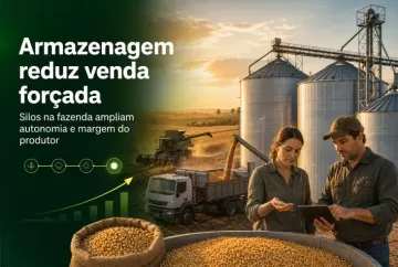 Armazenagem de grãos na fazenda reduz venda forçada e amplia margem do produtor