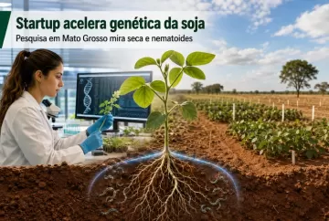 Startup de Mato Grosso acelera melhoramento genético da soja contra seca e nematoides