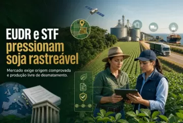 EUDR e decisão do STF ampliam pressão por soja rastreável e livre de desmatamento