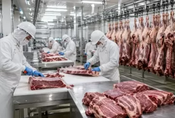 Exportações de carne bovina de Mato Grosso para a Espanha disparam 172% em julho