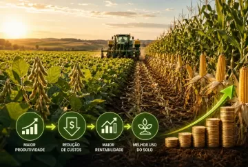 Sucessão soja-milho eleva produtividade, reduz custos e amplia rentabilidade no campo