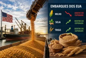 Embarques de milho dos EUA ficam abaixo do esperado; soja e trigo atendem projeções do mercado