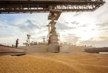 Exportações de milho ganham ritmo em agosto, e Brasil já embarca 3,43 milhões de toneladas