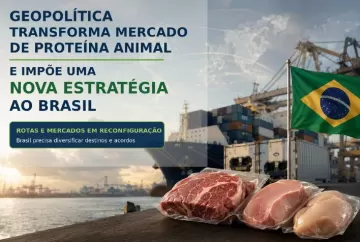 Geopolítica transforma mercado de proteína animal e impõe nova estratégia ao Brasil