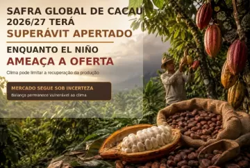Safra global de cacau 2026/27 terá superávit apertado, enquanto El Niño ameaça oferta
