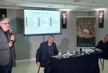 Federarroz identifica irregularidades em arroz Tipo 1 e acionará autoridades