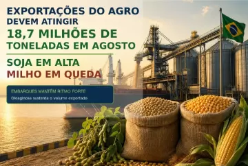 Exportações do agro devem atingir 18,7 milhões de toneladas em agosto, com soja em alta e milho em queda