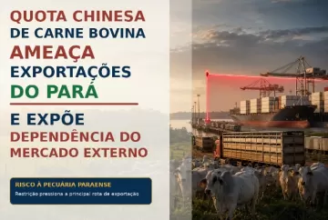 Quota chinesa de carne bovina ameaça exportações do Pará e expõe dependência do mercado externo