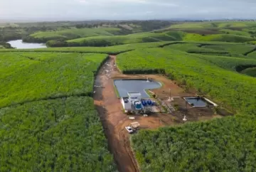 Irrigação por gotejamento eleva em até 92,8% a produtividade da cana no Nordeste