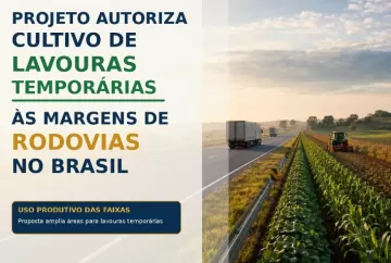 Projeto autoriza cultivo de lavouras temporárias às margens de rodovias no Brasil