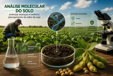 Análise molecular do solo antecipa doenças e melhora planejamento da safra de soja
