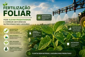 Fertilização foliar pode elevar produtividade e corrigir deficiências nutricionais nas lavouras