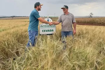 Cevada avança no Norte do Paraná e abre nova alternativa de renda para produtores rurais