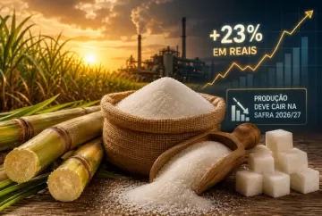 Açúcar dispara 23% em reais e produção deve cair na safra 2026/27, aponta Rabobank