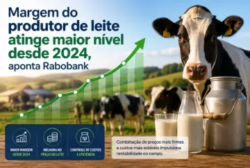 Margem do produtor de leite atinge maior nível desde 2024, aponta Rabobank