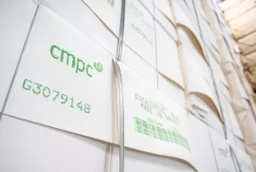 Preços da celulose devem se recuperar com cortes na oferta global, projeta Rabobank