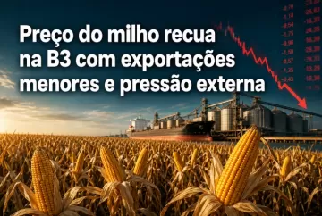 Preço do milho recua na B3 com exportações menores e pressão externa