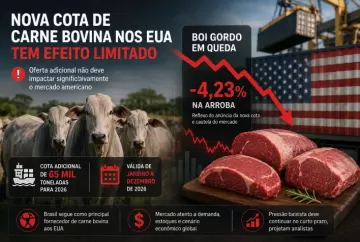 Nova cota de carne bovina nos EUA tem efeito limitado e boi gordo cai até 4,23%
