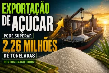 Exportação de açúcar pode superar 2,26 milhões de toneladas nos portos brasileiros