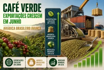 Exportações mundiais de café verde crescem em junho com avanço do arábica brasileiro