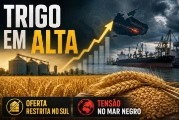 Preço do trigo mantém viés de alta com oferta restrita no Sul e tensão no Mar Negro